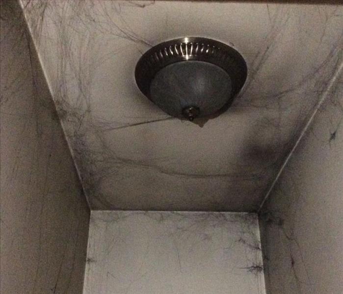 Soot webs in white hallway