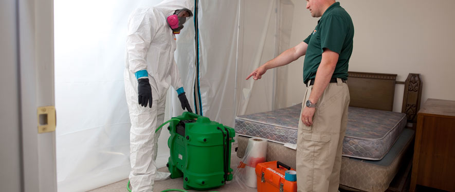 Williamsport, PA mold removal process